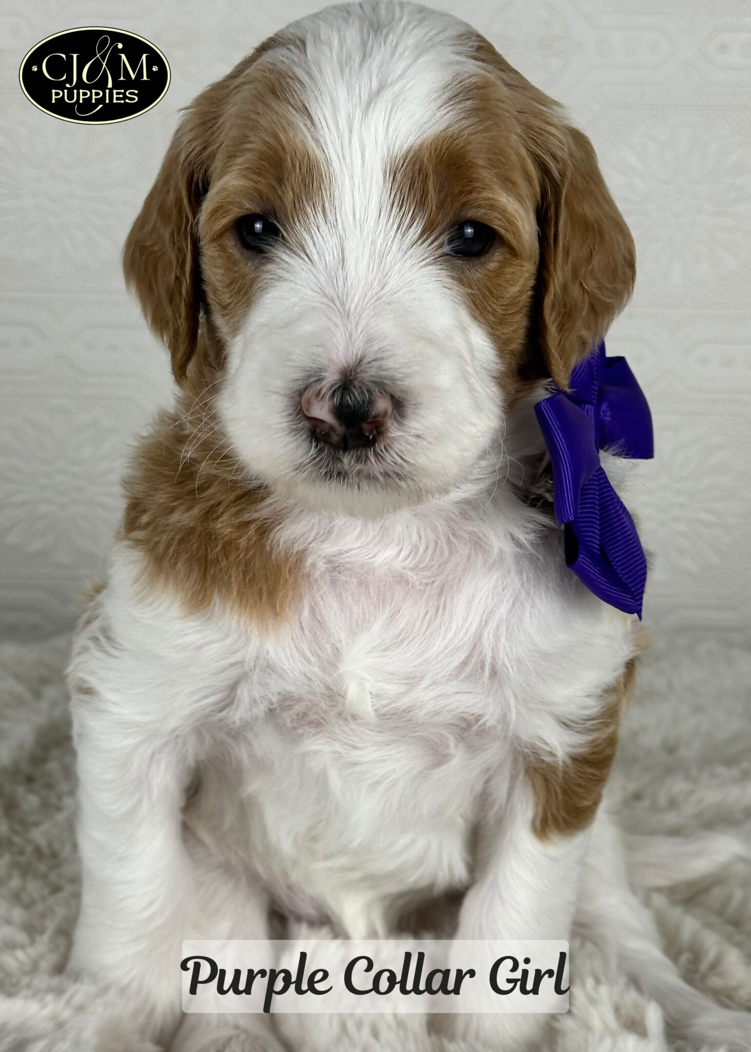 Jewels