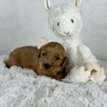 Photo 2024-10-09, 12 45 04 PM