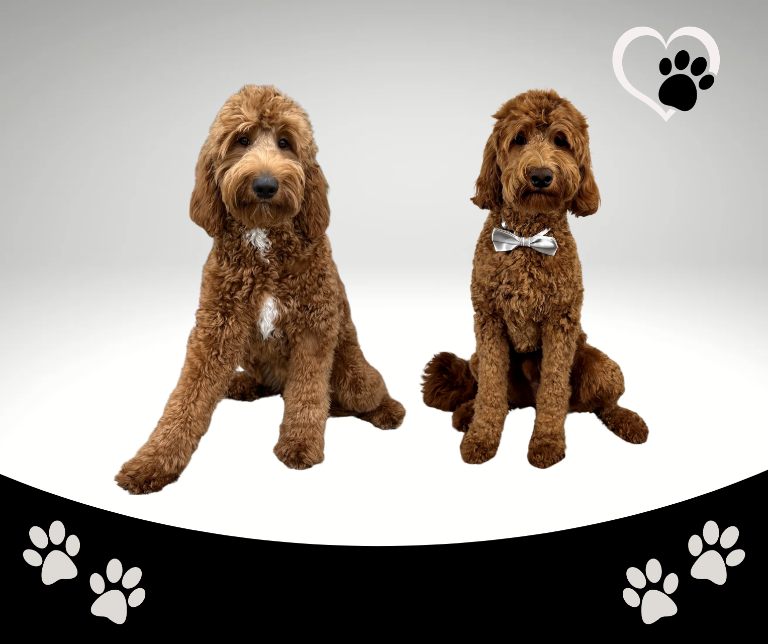 Bella & Toby